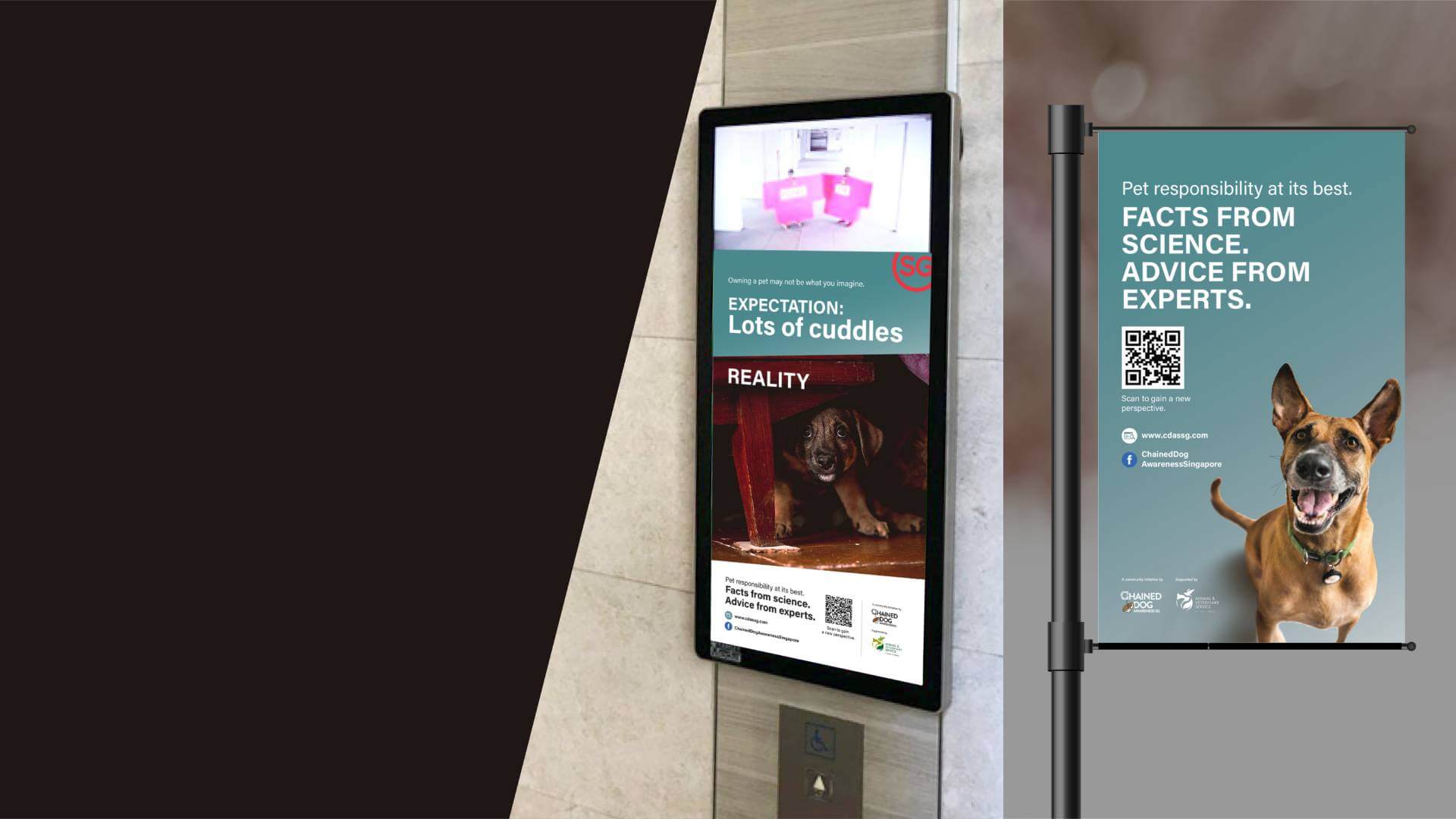 Pet campaign poster