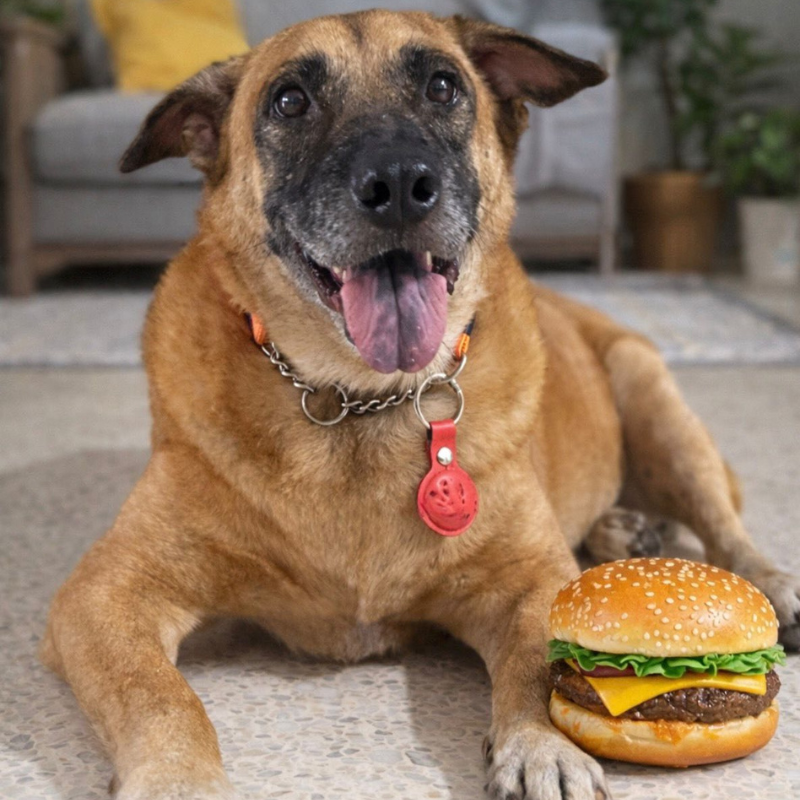 burger3