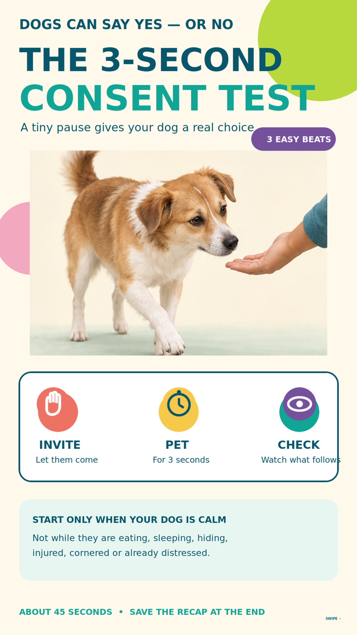 The 3-second consent test. Dogs can say yes or no.