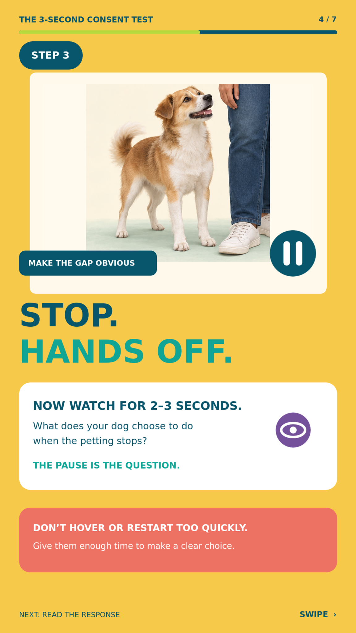 Step 3: Stop. Hands off. Watch what the dog does next.