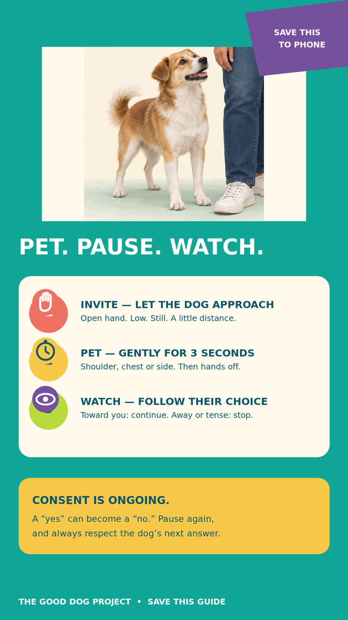 Recap: Pet. Pause. Watch. Consent is ongoing.